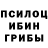 Псилоцибиновые грибы мицелий charlottedn ENG