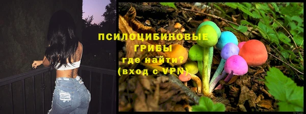 СК Белокуриха