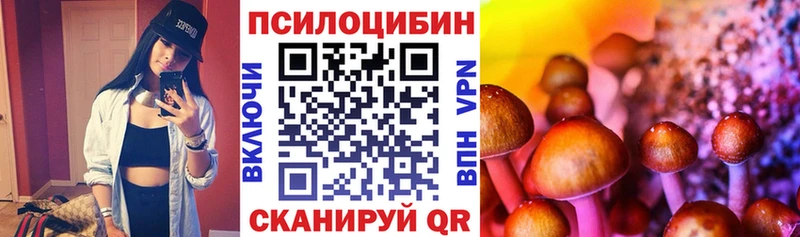 blacksprut   даркнет сайт  Маркс  Псилоцибиновые грибы MAGIC MUSHROOMS 